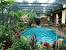 Modern Tropical Backyard