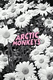 The great collection of tumblr arctic monkeys wallpaper for desktop, laptop and mobiles. 50 Tumblr Arctic Monkeys Wallpaper On Wallpapersafari