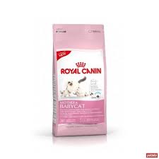 Royal Canin Mother Babycat Yavru Kedi Mamasi 4kg Yavru Kediler Kedi Ve Urun Ambalaji