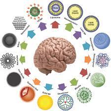Tiny, glowing worm to unlock brain's. Nanotechnology For Neuroscience Promising Approaches For Diagnostics Therapeutics And Brain Activity Mapping Kumar 2017 Advanced Functional Materials Wiley Online Library
