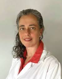 Diretoria e Comissões