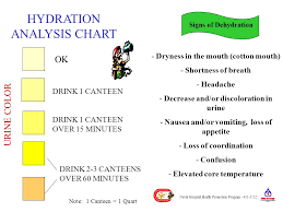 Heat Exhaustion Treatment Get Out Of The Sun To A Cool