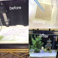 Why You Should Have Sand In Your Fish Tanks The Debris On The Bottom Of The Tank Is From One Week One Week One Bett Aquarium Fish Tank Fish Tank
