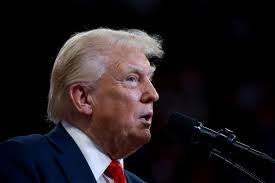 Trump and His MAGA Movement Are 'Hijacking' Georgia's Elections