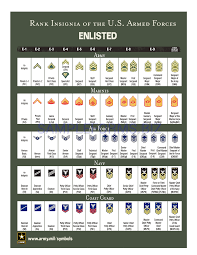 preview pdf rank insignia of the u s armed forces 2