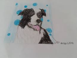 Lucky & heïdi, ado& jeune retraitée, un subtile et sublime mélange qui nous. Dessin Drawing Chien Dog Image By Anjalydraw