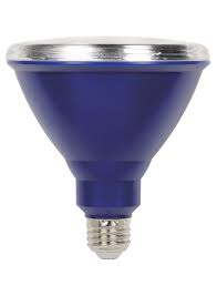 Westinghouse Lighting 15 Watt 100 Watt Equivalent Par38 Led Non Dimmable Light Bulb Blue 2700k E26 Medium Standard Base Wayfair