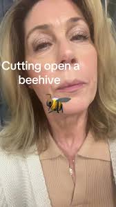 Cutting Bee with Chopsticks