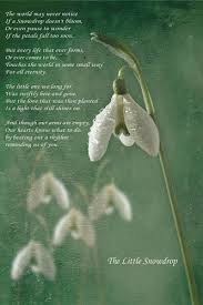 Pin On Sayings