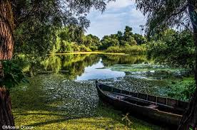 Check spelling or type a new query. Animalele Deltei DunÄƒrii Tulcea Noastra