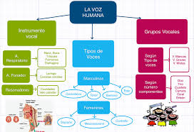 La nariz aspira el aire que llega hasta los pulmones, con un. Aparato Resonador De La Voz Humana Lo Que Necesitas Enterarse De Tu Maquinaria Fonador