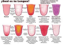 46 Ideas De Organos Del Cuerpo Humano Organos Del Cuerpo Humano Cuerpo Humano Medicinas Alternativas