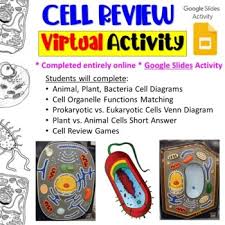 We did not find results for: Virtual Cell Review Activities Plant Animal Bacteria Cells Digital Lesson
