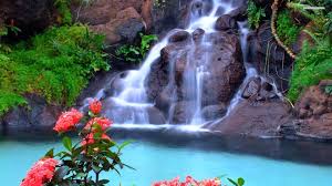 Beautiful Waterfall Photo Hd Wallpapers Free Waterfall Pictures Waterfall Wallpaper Waterfall