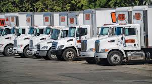 Image result for Yellow 2023 Fleet