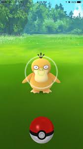 Pokémon go has a buddy system that you can use to get yourself some rare pokémon. Pokemon Go Candy How To Get Lots Of Candy Fast Nintendo Life