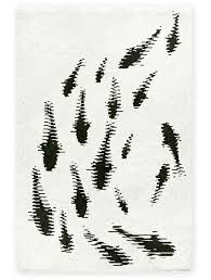 Black And White Optical Illusion Rug The Magic Carp Pet Optical Illusions Illusions Rug Design