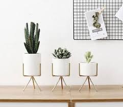Shop for antiques, metal crafts, wall decor, lamps, candles, clocks, hookah & plants & more to decorate your home. Make Your Room Shine With These Decor Items From Flipkart