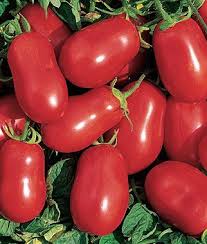 Place a small handful of vegetables in the center of each piece of steak. 110 Too Many Tomatoes To Choose From Ideas Tomato Seeds Tomato Growing Tomatoes