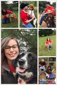 You can also use it to keep track of your completed quests, recipes, mounts, companion pets, and titles! Petconnect Rescue Iq Solutions Office Photo Glassdoor Co In