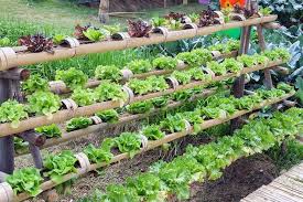 Start a hydroponic garden that uses the vertical space. Hydroponics Diy How To Create Your Own System High Tech Gardening