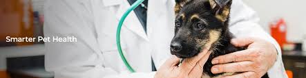 If your pet has not had vaccinations in at least a year, then we recommend our full annual package ($75 for dogs, or $40 for cats). Vip Petcare Linkedin
