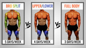 Best Workout Split Training Routines For Upper And Lower Body