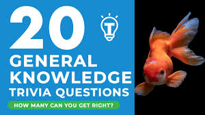 Do you know which fish has the largest eyes in proportion to its body size? 20 Trivia Questions General Knowledge Quiz Ep 38 Youtube