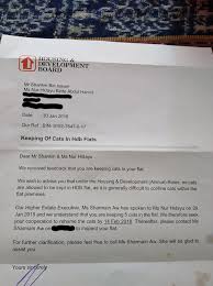 Hello, looking for some help, was in a costco in canada today and had an incident and i will admit part of it is my fault. Man With 5 Cats Receives Letter From Hdb Giving Him 2 Week Deadline To Get Rid Of Them Mothership Sg News From Singapore Asia And Around The World