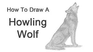 This tutorial explains how to draw a wolf's face and head step by step from the front view with detailed. How To Draw A Wolf Howling Youtube