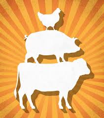 Farm animals kept for examples of livestock in a sentence. 8 Reasons Why The Livestock Industry Is On A Roll Successful Farming