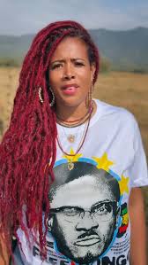 Let’s FEED CONGO ✊🏾🇨🇩 share and tag me in this message 👏🏾 IG seems to  shadow ban a lot of these efforts but let’s make this one successful 🤎🫶🏾  LOVE YALL‼️