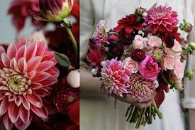 Lessons from an accidental florist for kindle. Amy Merrick Flowers Rojo Robin