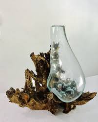 Amazon advertising find, attract, and Molten Glass On Driftwood Arrangement Fast Shipping Air Etsy Air Plant Terrarium Unique Centerpieces Flower Vases