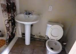Molds In Bathroom Dangerous Mold In Bathroom Bathroom Flooring Bathroom