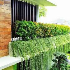 ( 1) tambah ke wishlist. Mengerjakan Pembuatan Taman Pembuatan Kolam Pembuatan Carport Pemasangan Rumput Pemasangan Batu Alam Reno Walled Garden Taman Diy Teras Halaman Belakang