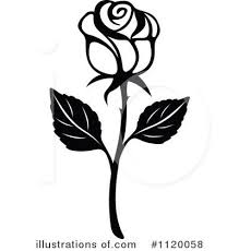 Beautiful rose flowers exotic flowers amazing flowers beautiful flowers orchid flowers rose pictures flower photos rose reference growing about this piece stem of pink and white flowers of bleeding heart or dicentra gold heart lying with spring fresh lime green leaves on tarnished metal. Rose Clipart Black And White Clipart Panda Free Clipart Images Rose Clipart White Rose Tattoos Clipart Black And White