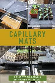 Pictured below is a seed punnet tray that is used commercially in nurseries. An Automatic Plant Waterer That Works The Art Of Doing Stuff