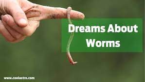 Dreams About Worms Meaning And Interpretation Cool Astro