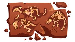 Dinosaur bones are a canadian indie rock band formed in 2008 in toronto consisting of songwriter/vocalist/guitarist ben fox, bassist branko scekic, keyboardist david wickland, drummer lucas fredette, and guitarist josh byrne. Dinosaur Skeleton Images Free Vectors Stock Photos Psd