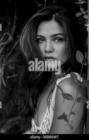 Vanessa viola hi-res stock photography and images