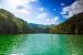 Underwater Fontana Lake
