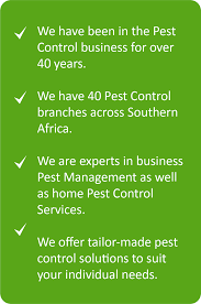 How much does pest control cost near me? Professional Pest Control Services In East Rand Pest Control Specialists