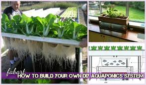 Traditional planting requires extensive land areas, while aquaponics does not need extensive areas of land to set up. How To Build Your Own Diy Aquaponics System Tutorial Video