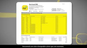 These two balances may be the same or one may be higher than the other, depending on the purchases you make. Support Postpaid Billing Information Digi Let S Inspire