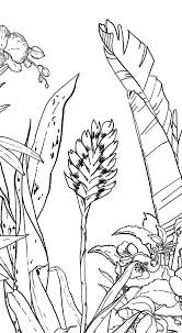 Ohmywall Papier Peint Jungle Tropical Noir Et Blanc Medium Par Caddous In 2020 Jungle Drawing Jungle Wallpaper Art