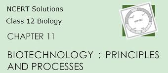 NCERT Solutions' PDF, CBSE Class 12 Biology, Chapter 11