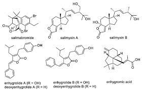 Marine Drugs Free Full Text Enhypyrazinones A And B Pyrazinone Natural Products From A Marine Derived Myxobacterium Enhygromyxa Sp Html