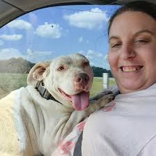 Taxidermized Moose Not Showing in Lodge