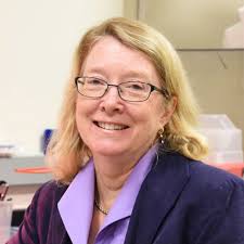 2019 Gill Symposium to explore sex differences in the brain: IU News